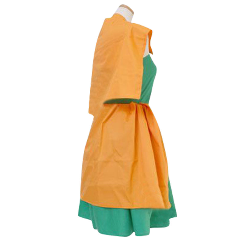 DC Comics Batman Robin Costume Cosplay Nouvelle Édition