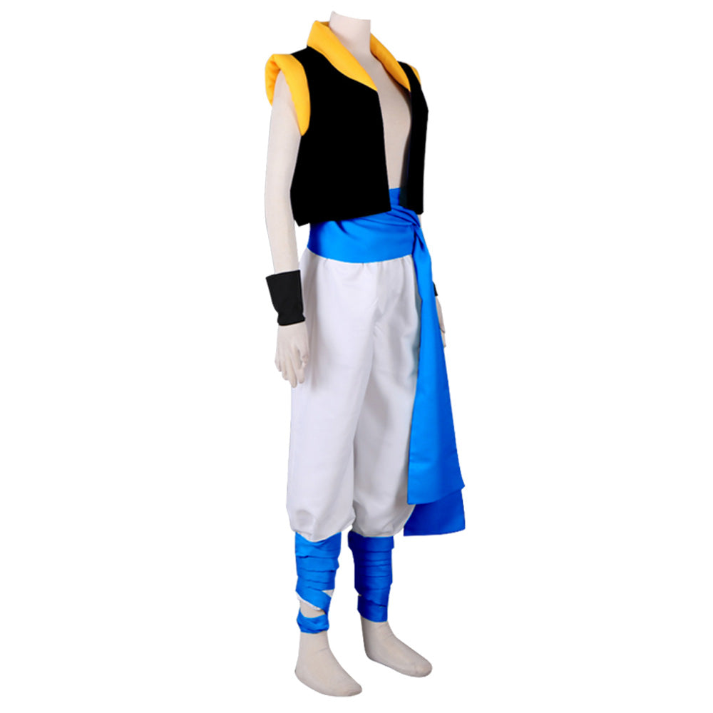 D Ball: Broly Gogeta SSGSS Cosplay Costume