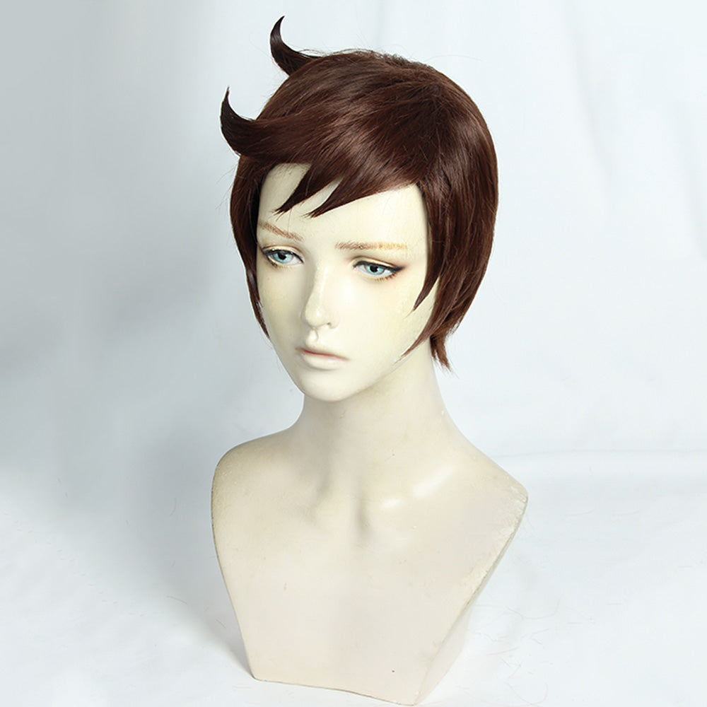 Pokemon Sword And Shield Male Trainer Brown Cosplay Wig