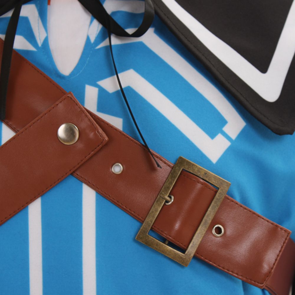 Disfraz de cosplay The Legend of Zelda: Breath of the Wild Link