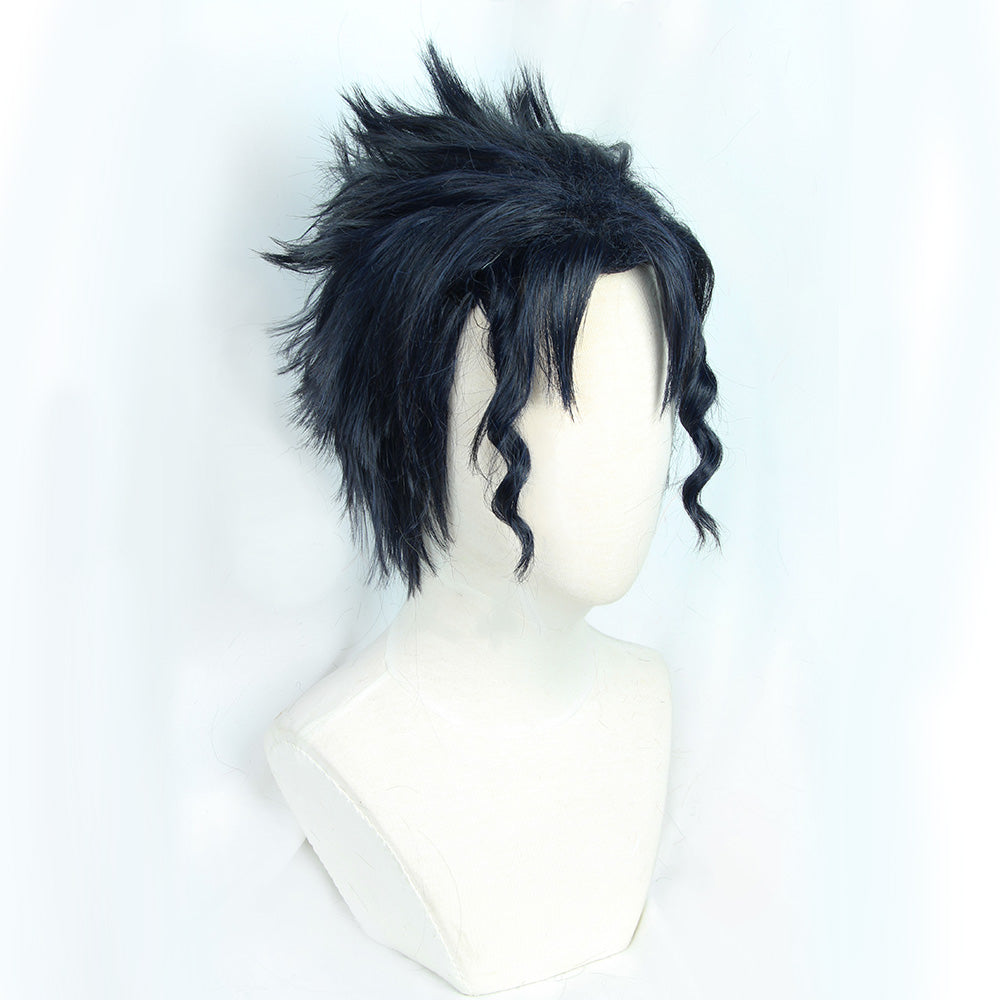 JoJo's Bizarre Adventure Jotaro Kujo Blue Black Cosplay Wig