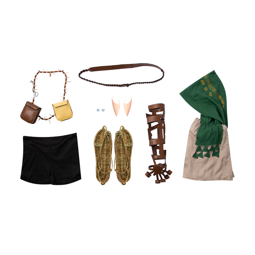 The sequel to The Legend of Zelda: Breath of the Wild 2 Link Cosplay Costume