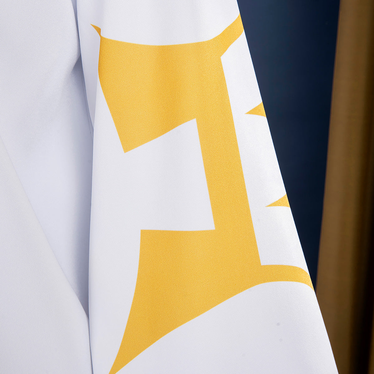 PM Legends: ZA Gwynn Cosplay Costume