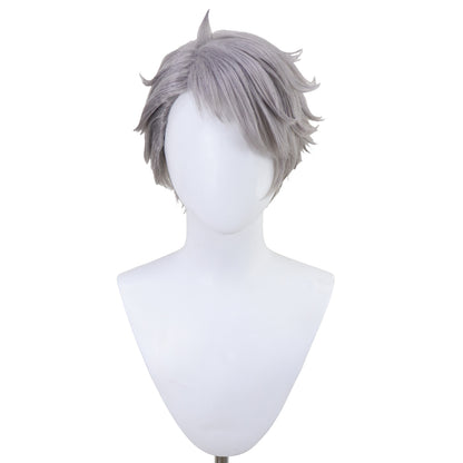 Frieren: Beyond Journey's End Wirbel Silver Cosplay Wig