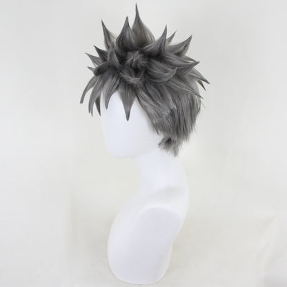 Xenoblade Chronicles 3 Future Redeemed Rex Grey Cosplay Wig