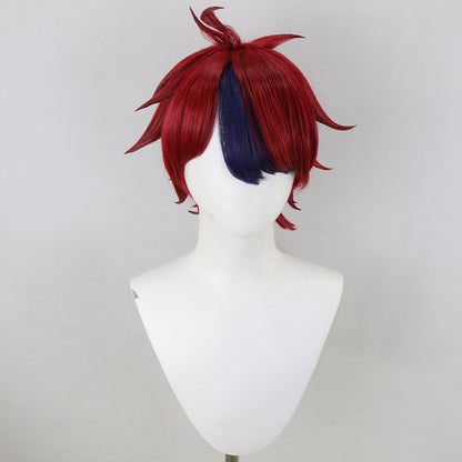 The Hundred Line -Last Defense Academy Takumi Sumino Cosplay Wig