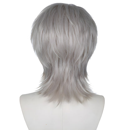 Honkai: Star Rail Arlan Silber Cosplay Perücke