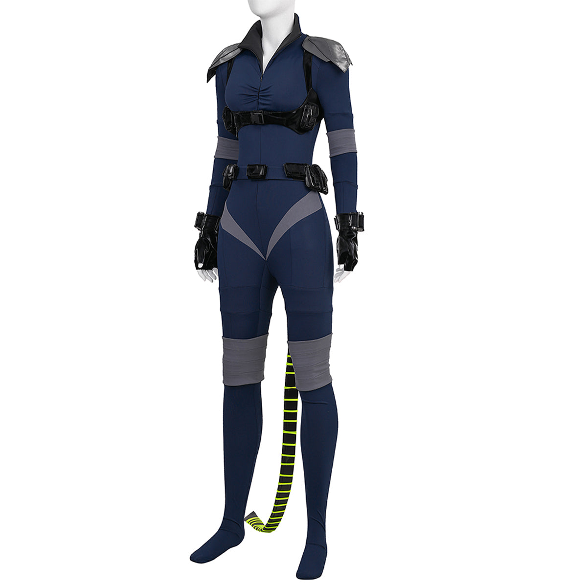 Absolute Catwoman Selina Kyle Cosplay Costume