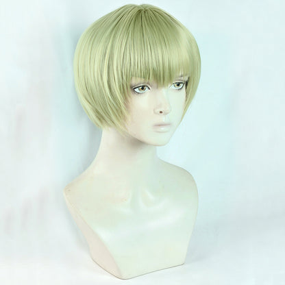 Hunter x Hunter Shalnark Cosplay Wig