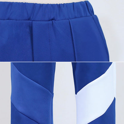 Pokemon Scarlet and Violet The Hidden Treasure of Area Zero Blueberry Academy Autumn Uniform Cosplay Costume