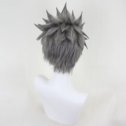 Xenoblade Chronicles 3 Future Redeemed Rex Grey Cosplay Wig