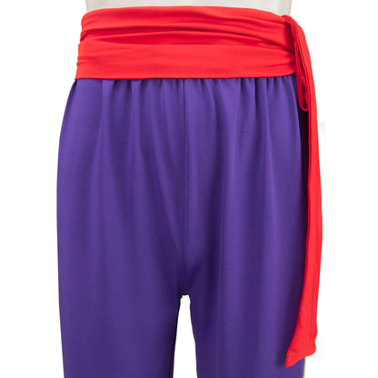 SF Vega Cosplay Costume