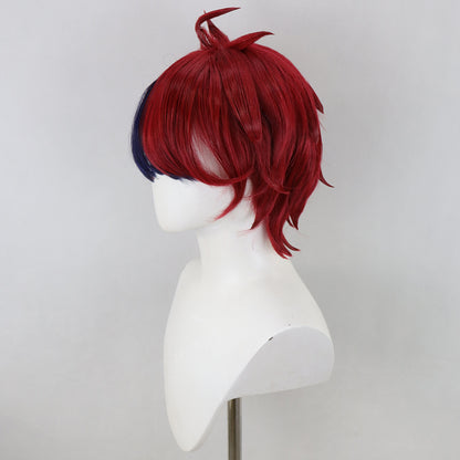 The Hundred Line -Last Defense Academy Takumi Sumino Cosplay Wig