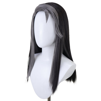 Perruque de cosplay en argent Honkai: Star Rail Arlan