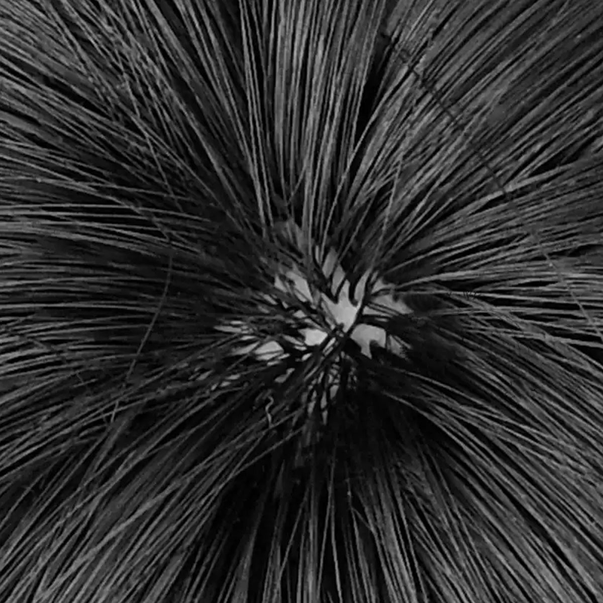 Genshin Impact Yelan Negro Morado Cosplay Peluca