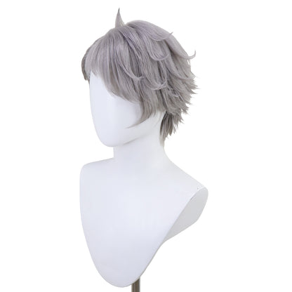 Frieren: Beyond Journey's End Wirbel Silver Cosplay Wig