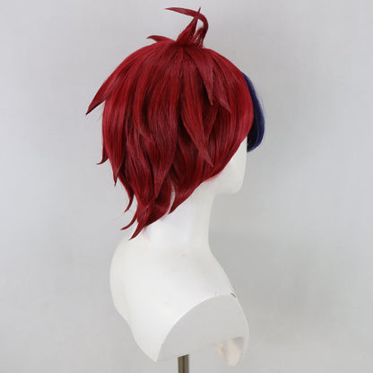 The Hundred Line -Last Defense Academy Takumi Sumino Cosplay Wig