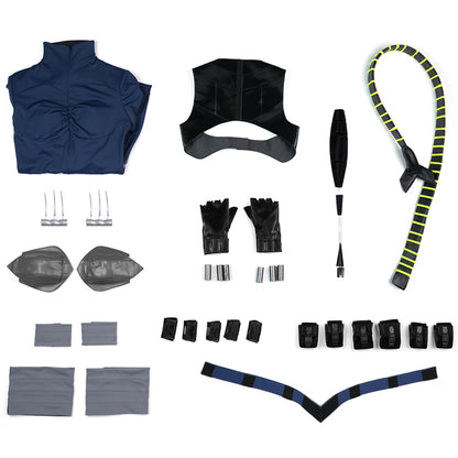 Absolute Catwoman Selina Kyle Cosplay Costume