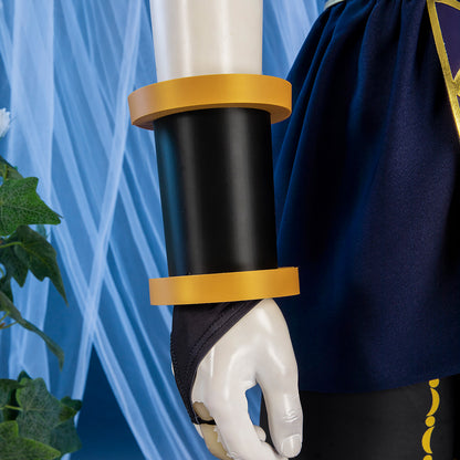 Kid Icarus: Uprising Dark Pit Cosplay Costume