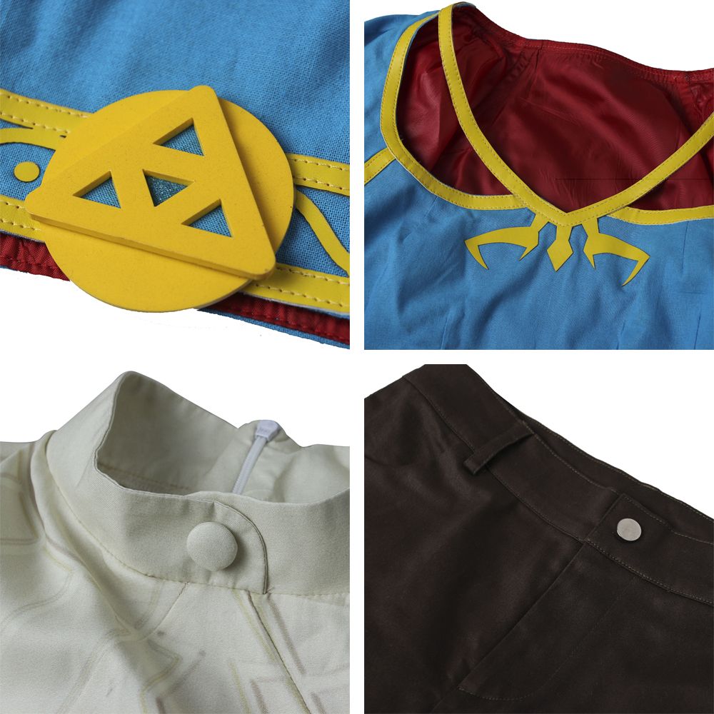 The Legend of Zelda: Breath of the Wild Princess Zelda Cosplay Costume