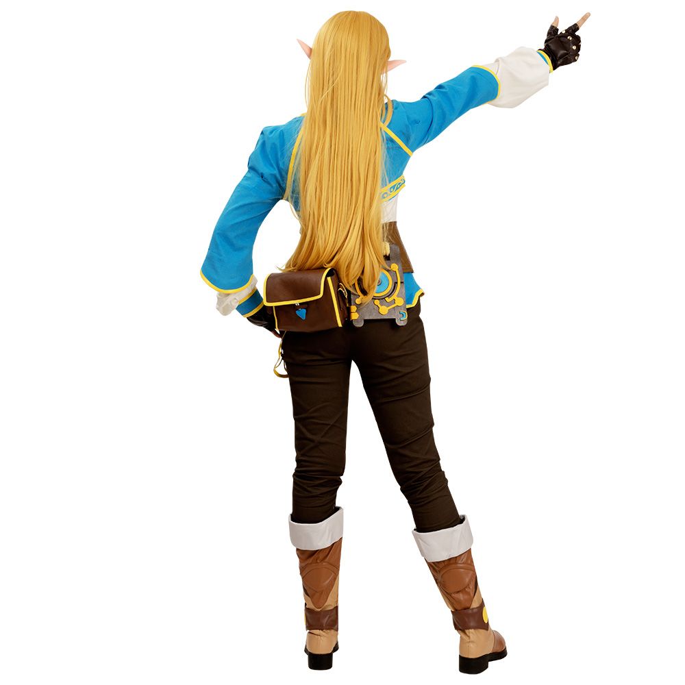 The Legend of Zelda: Breath of the Wild Princess Zelda Cosplay Costume