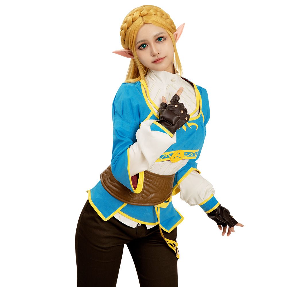 The Legend of Zelda: Breath of the Wild Princess Zelda Cosplay Costume