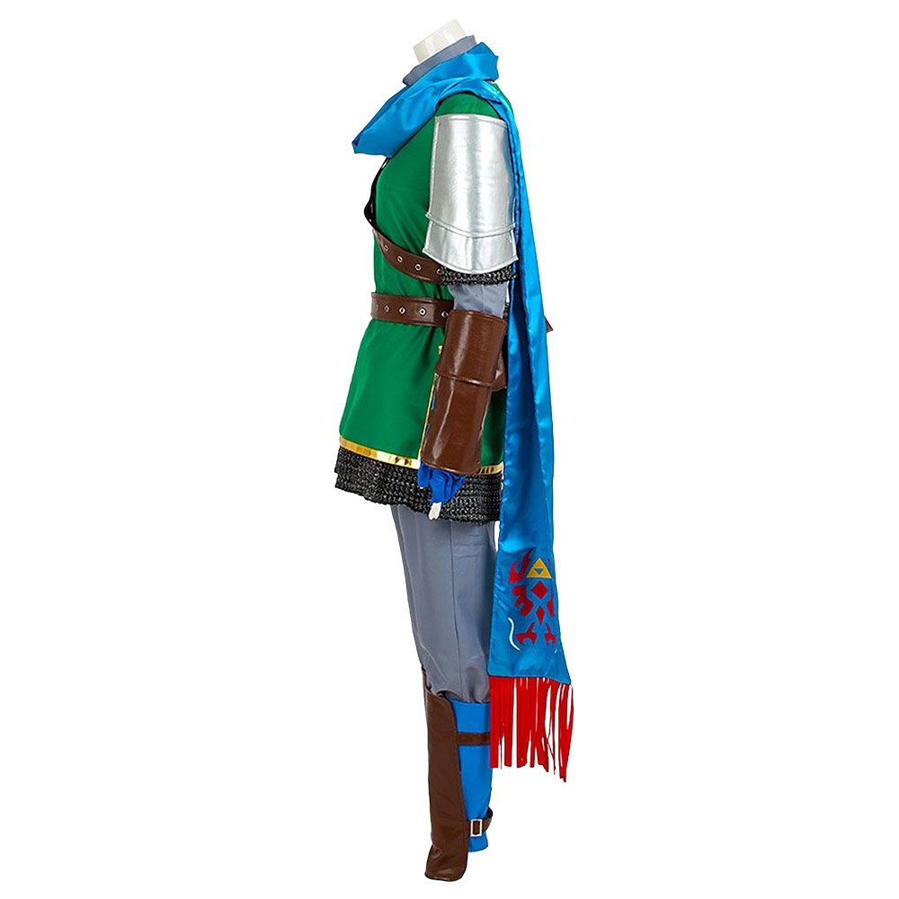 The Legend of Zelda Hyrule Warriors Link Cosplay Costume